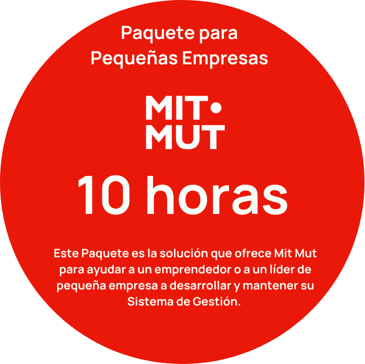 Paquete Pequeña Empresa 10 horas