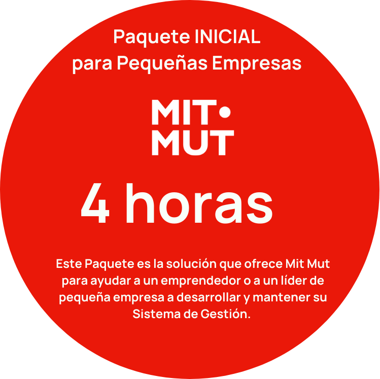 Paquete Inicial Pequeña Empresa 4 horas 